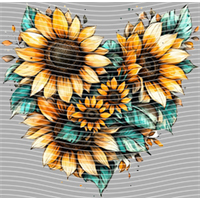 Country music-CU 1153